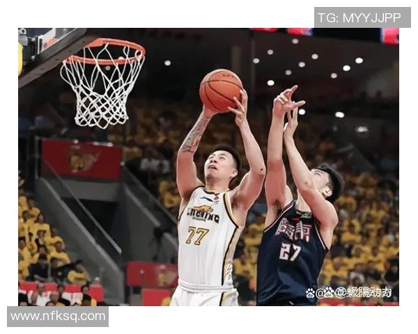 2013至2014赛季CBA辽宁队与福建队精彩对决回顾与分析