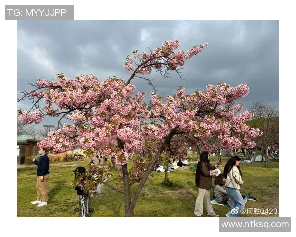 大阪樱花与鸟栖激战正酣谁能在这场对决中笑到最后 大阪樱花与鸟栖激战正酣谁能在这场对决中笑到最后