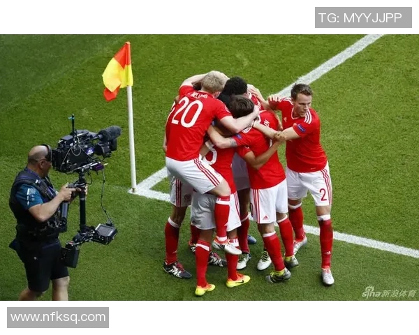 威尔士与爱尔兰精彩对决回放分析与赛后点评