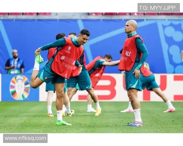 2012年葡萄牙与捷克精彩对决回顾及赛后分析