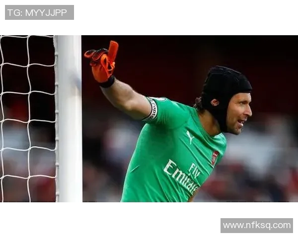 切赫与范德萨的巅峰对决谁才是门将之王的传奇传承者