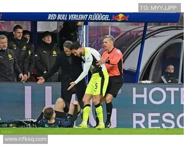 多特蒙德球迷冲突引发欧冠禁赛三场及50万欧罚款风波