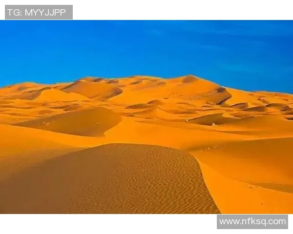 极限运动团队协作实力排行榜揭晓各队伍表现与实力分析MBA