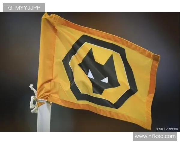 狼队与勇士精彩对决完整视频回顾分析及赛后亮点总结