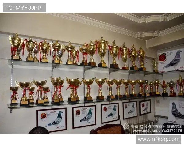 黄静专访：深度回顾DOTA2辉煌历程与未来展望